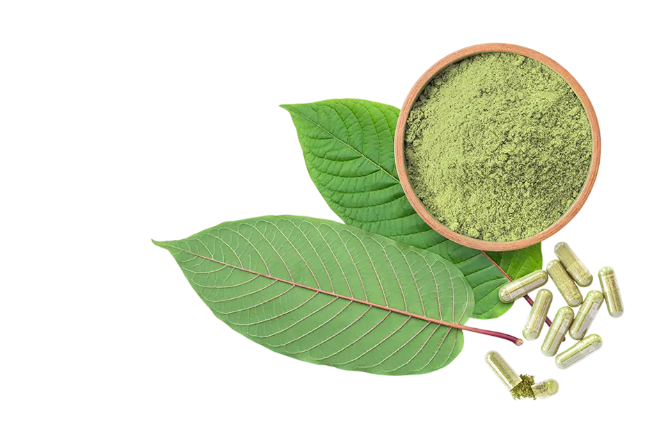 Take-natural-supplement-leaves-powder-capsules-Kratom